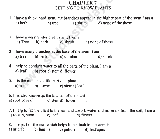 CBSE Class 6 Science Getting to Know Plants MCQs Set C, Multiple Choice